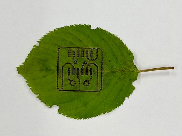 地産地消型センシングに向けた植物の葉への電子回路形成の検討 のサムネイル
