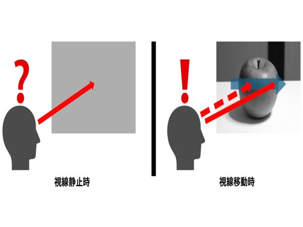 高速投影による方向依存表示の濃淡表現手法 のサムネイル